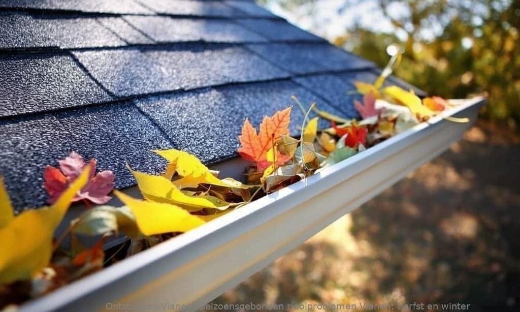 Seizoensgebonden rioolproblemen Vianen: herfst en winter
