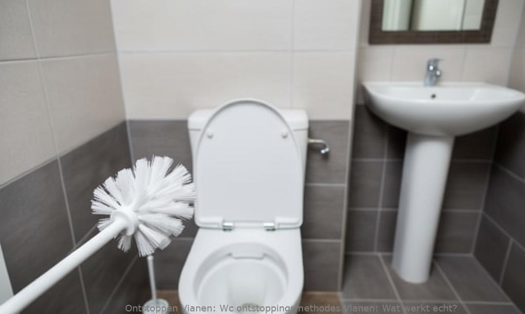 Wc ontstoppingsmethodes Vianen: Wat werkt echt?